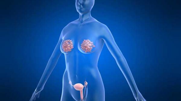 atentie la senzatia ca hainele sunt mici in talie