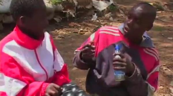 video epidemie de aurolaci in kenya amicii lui boldea se drogheaza la greu cu lipici si prenadez