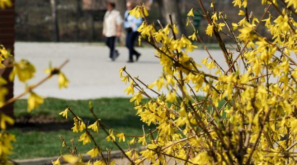 sfarsitul saptamanii vine cu temperaturi de peste 27 de grade vezi prognoza meteo pana sambata