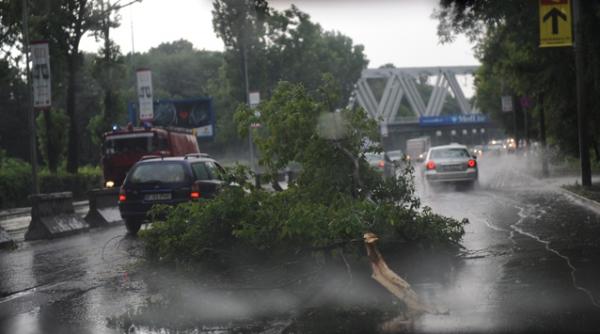 cum se pregateste bucurestiul de furtuna evitati trecerea prin apropierea copacilor si atingerea firelor cazute