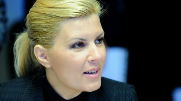 elena udrea stimularea imm urilor biletul romaniei spre iesirea din criza