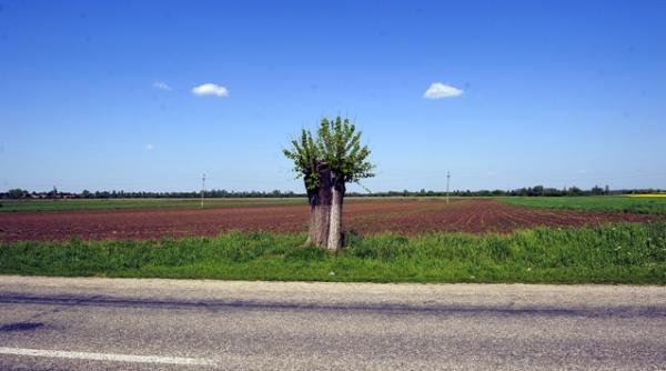 vrei sa ti construiesti casa cat mai costa un teren
