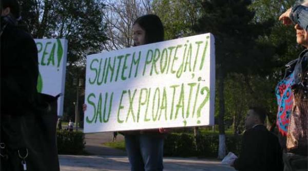 constanta proteste pe muzica folk impotriva gazelor de sist