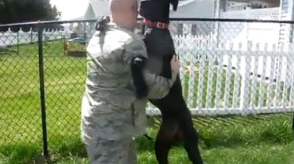 cum reactioneaza un caine cand stapanul sau se intoarce acasa vezi filmuletul care a impresionat aproximativ doua milioane de persoane