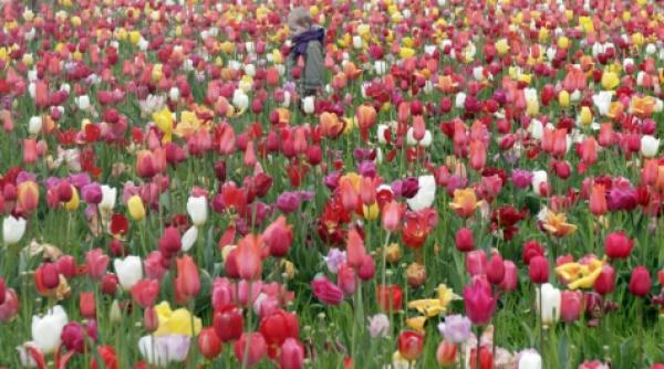 29 aprilie 2012 imaginile zilei