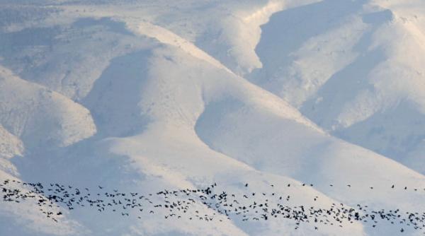 in masivul parang se mai poate schia