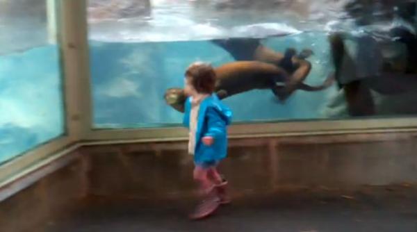 fetita si vidrele vezi filmuletul care a impresionat aproximativ 500 000 de persoane in cateva zile