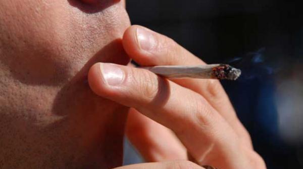 cardul canabis introdus de marti in olanda