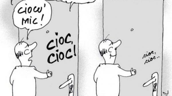 caricatura zilei luna mai