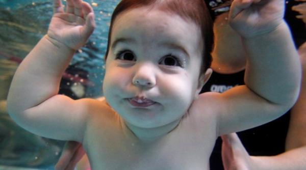 bebelusii genii in matematica cei mici folosesc indici geometrici si percep limitele unui spatiu studiu