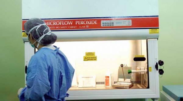 transplant medular la standarde europene