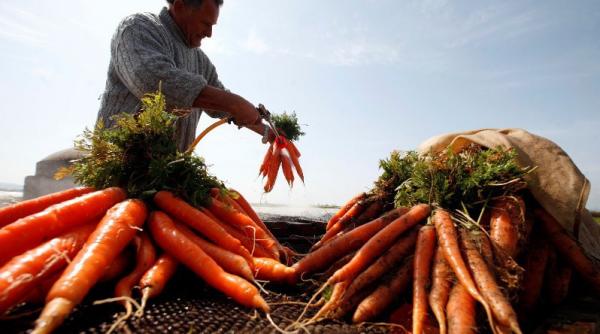 cercetatorii americani au descoperit ca betacarotenul consumat in cantitati mari poate favoriza cancerul