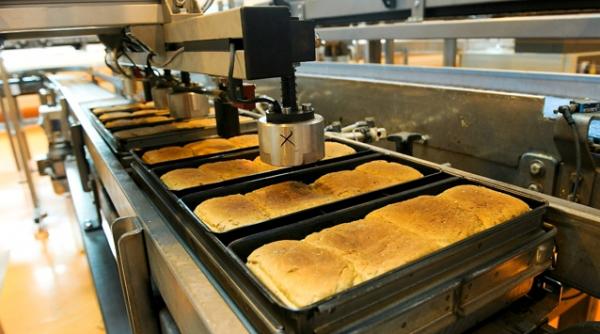 constantin printr un tva redus la panificatie putem scoate la suprafata sute de milioane de euro