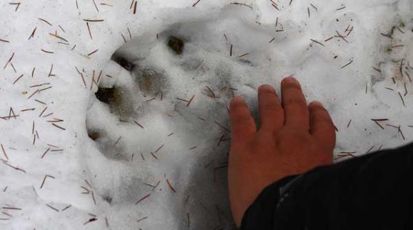 romania nu mai exista