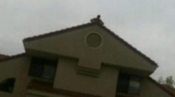 video un tanar a incercat sa si impresioneze prietenii insa a ajuns la terapie intensiva