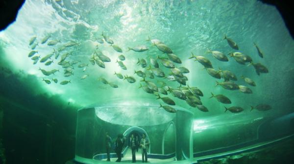 9 mai 2012 imaginile zilei