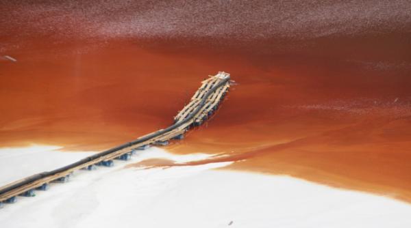 cupru min capusita de gasca pdl alba liderul de sindicat ii acuza pe berceanu si videanu de subminarea economiei nationale