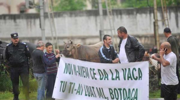 protest de tip francez pe dn1 noi n avem ce da la vaca tu ti ai luat meleu botoaca