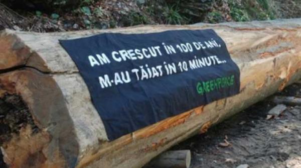 romania pierde 3 hectare de padure pe ora vezi harta despaduririlor