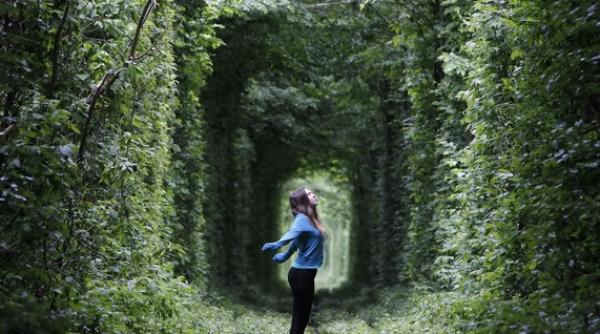 tunelul iubirii unul dintre cele mai romantice locuri din lume
