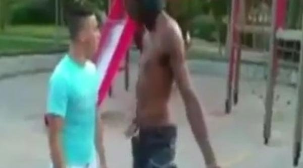 buturuga mica rastoarna carul mare knockout spectaculos video