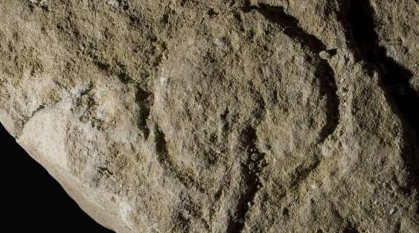 cele mai vechi imagini ponografice arta murala veche de 37 000 de ani descoperita in franta