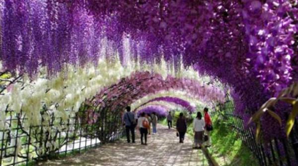 locul in care ai vrea sa iti petreci vesnicia imaginile care fac din acest loc de pe terra un colt de rai