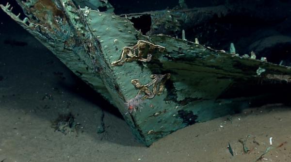 epava unei nave din 1800 descoperita in golful mexic