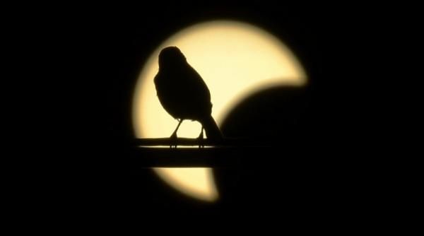 21 mai 2012 imaginile zilei