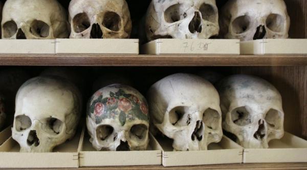 capetele americanilor albi s au marit iar fetele lor au devenit mai lungi si mai inguste in ultimii 200 de ani