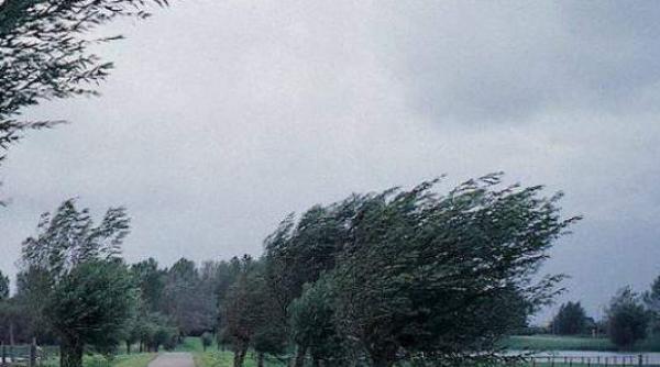 avertizare de vant puternic pentru zona de sud a banatului