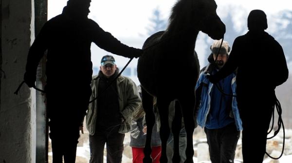 concedii altfel vacanta calare la poalele muntilor fagarasi