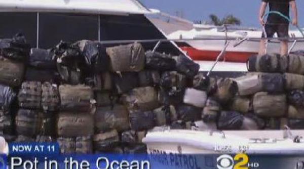 patru tone de marijuana descoperite plutind in oceanul pacific valorea drogurilor pe piata neagra 3 6 milioane de dolari video