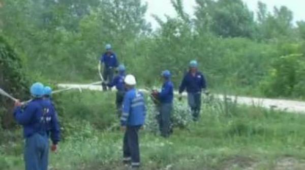 poluare pe raul cotmeana pe o lungime de 4 km dupa ce o conducta de titei s a spart