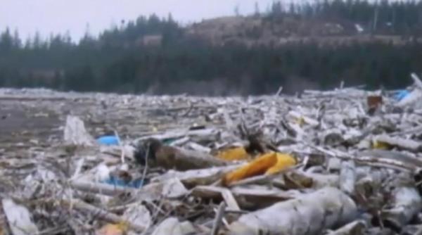 o cantitate fara precedent de obiecte luate de tsunamiul din japonia a esuat in alaska video
