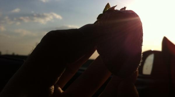 capsunile fructe minune ale sanatatii