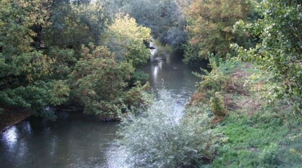 ploile torentiale au facut doua victime in judetul bacau