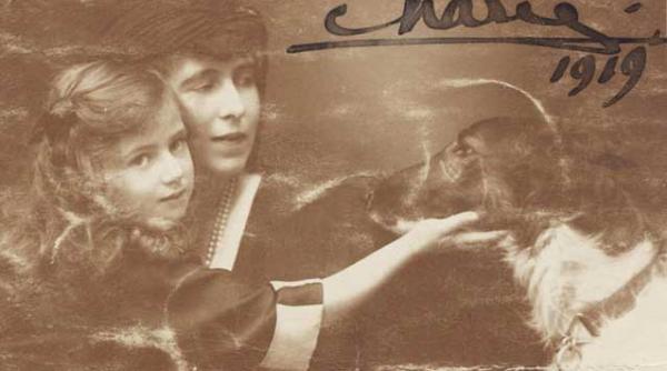 d rul x neingaduitorul