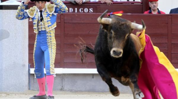 29 mai 2012 imaginile zilei