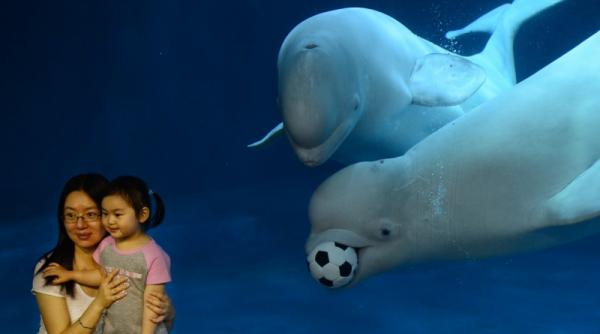 30 mai 2012 imaginile zilei