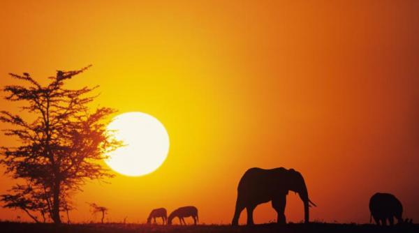 africa de sud un taram al fagaduintei pentru investitori