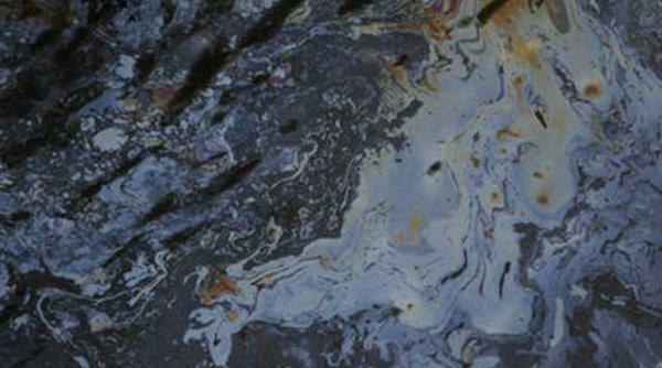 ministrul mediului rovana plumb scurgerea de petrol de pe oltet un accident ecologic major