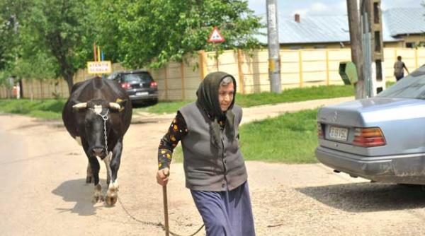 petrachioaia satul devenit celebru pe reuters