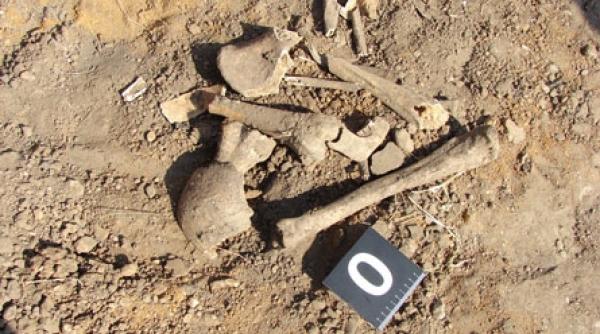 oseminte umane gasite in gospodaria unde locuise un barbat dat disparut in urma cu 13 ani