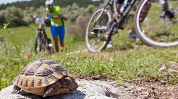 2 mai si vama veche au manifestat pentru natura prin triatlon