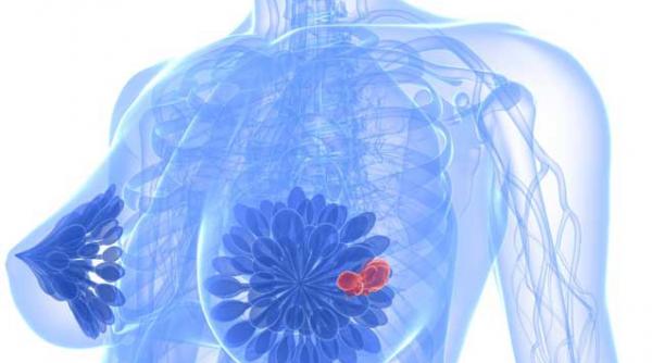 cancerul tintit cu o noua molecula