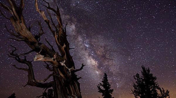 primul film din lume realizat la o rezolutie de patru mai mare decat cea standard prezentat de un jurnalist american video