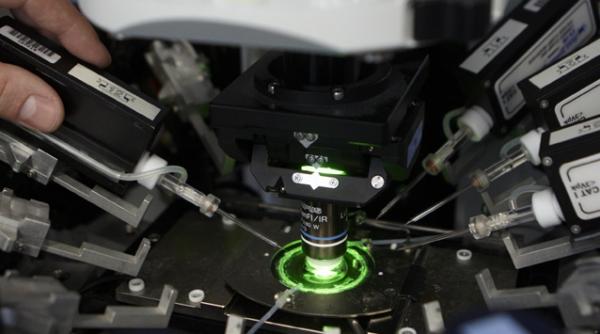 un medicament experimental are rezultate incurajatoare in tratarea cancerului studiu