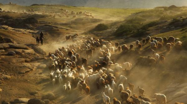 5 iunie 2012 imaginile zilei