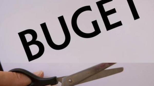 cheltuielile cu bunuri si servicii ale institutiilor publice si companiilor de stat reduse cu 30